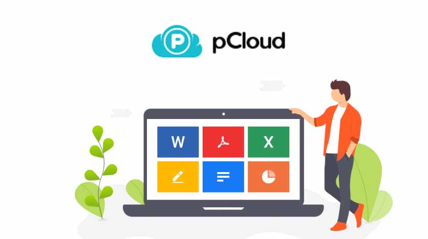 pcloud webdav access